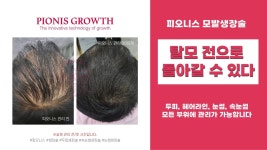살롱엘가나 | 살롱 엘가나