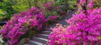 싸리치숲속랜드펜션