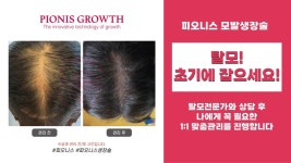 살롱엘가나 | 살롱 엘가나