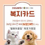 견생냥품 24시 무인펫샵 파주 문산수타운점