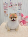 꾸미개
