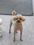 히히그루밍