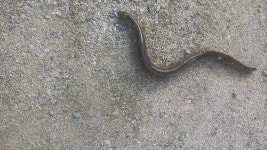 샘골낚시터