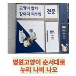 나비누리동물병원