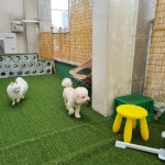 호다다 애견 호텔