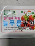 늘푸른딸기체험농장