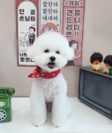 달콤한댕
