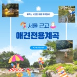 가평 노팅힐 계곡애견펜션