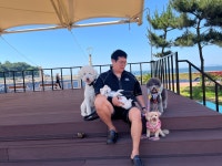 댕댕초댕학교