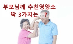 세종약국
