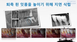 화이트치과의원