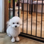 랄라몽
