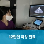 24시 서울YES동물병원