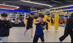 정용체육관