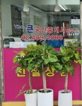 The큰공인중개사사무소
