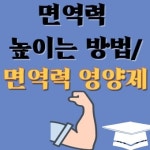 세종약국