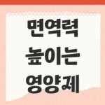 세종약국