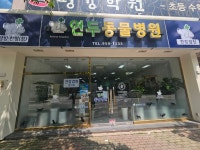 연두 동물병원