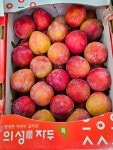 수정이네 과일야채