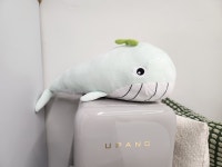 에스티디지 구미본점