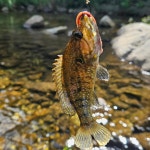 가평 느리게걷기 키즈 가족 펜션