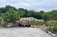 경주 감성 숙소 진티스테이