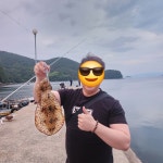 메가보트 스테이