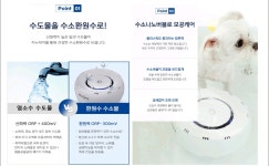 이쁘댕