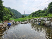 오르페우스