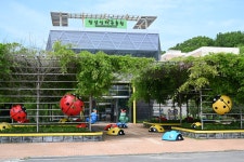 창녕우포곤충나라