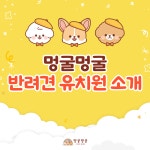 멍굴멍굴