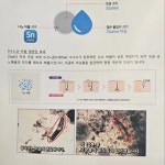 이쁘댕