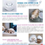 이쁘댕