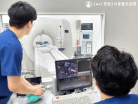 24시 창원2차동물의료원