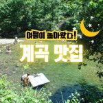 가평 노팅힐 계곡애견펜션