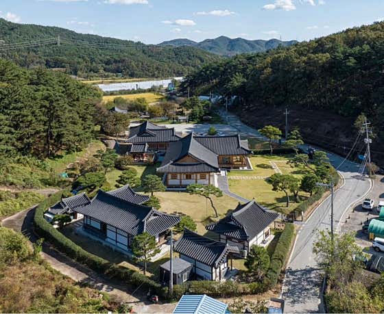 묘운 사진
