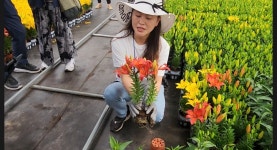 호림농장
