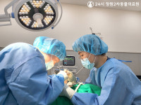 24시 창원2차동물의료원