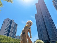 옐레드 애견유치원&애견호텔 부천신중동점