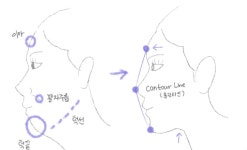 필보레의원 대전유성
