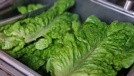 하진 삼겹살