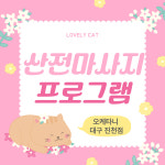 정통오케타니 대구진천점