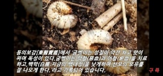 추월산굼벵이농장