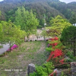 행복이가득한집