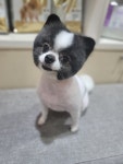 해피애견