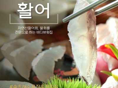 장수활어 생선회 대표 사진