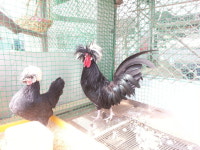 나무새관광농원