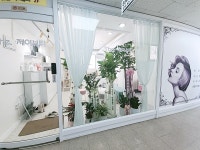 더제이뷰티