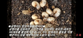 추월산굼벵이농장