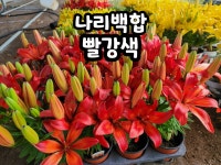 호림농장
